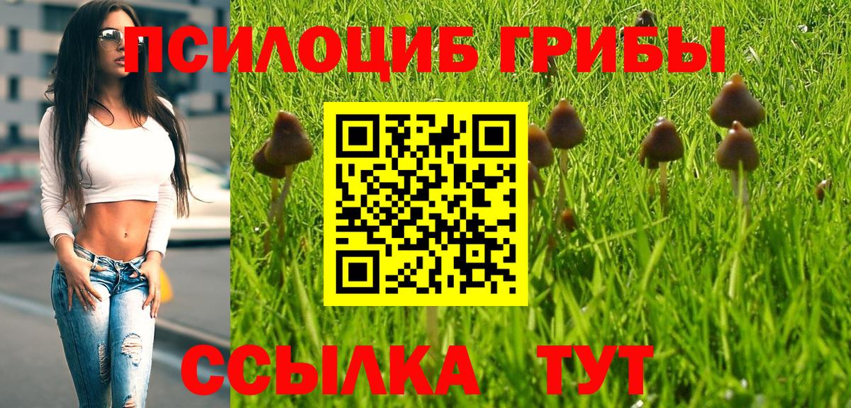 Галлюциногенные грибы GOLDEN TEACHER Нальчик